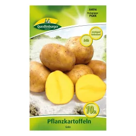 Pflanzkartoffel Gala - 10 Stück