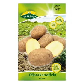 Pflanzkartoffel Karlena - 10 Stück