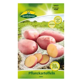 Pflanzkartoffel Laura - 10 Stück