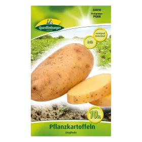 Pflanzkartoffel Sieglinde - 10 Stück