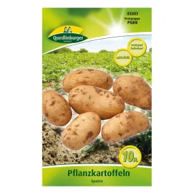 Pflanzkartoffel Spunta - 10 Stück