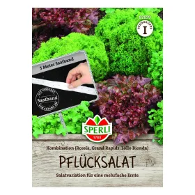 Pflücksalat Kombination