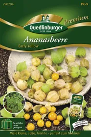 Quedlinburger Ananasbeere Early Yellow - Gemüsesamen