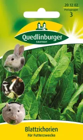Quedlinburger Blattzichorien für Futterzwecke - Futtersamen
