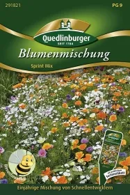 Quedlinburger Blumenmischung Sprint Mix - Blumensamen