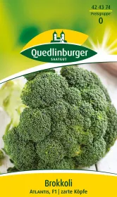 Quedlinburger Brokkoli Atlantis F1-Hybride - Gemüsesamen