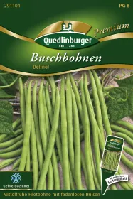 Quedlinburger Buschbohne Delinel - Gemüsesamen
