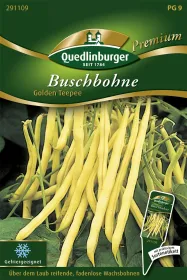 Quedlinburger Buschbohne Golden Teepee - Gemüsesamen