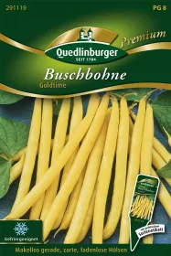 Quedlinburger Buschbohne Goldtime - Gemüsesamen