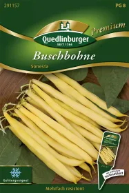 Quedlinburger Buschbohne Sonesta - Gemüsesamen