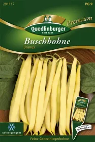 Quedlinburger Buschbohne Uranus - Gemüsesamen