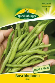 Quedlinburger Buschbohnen Maxi - Gemüsesamen