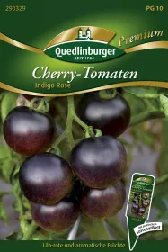 Quedlinburger Cherry-Tomate Indigo Rose - Gemüsesamen