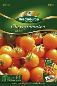 Quedlinburger Cherrytomaten Sungold - Gemüsesamen