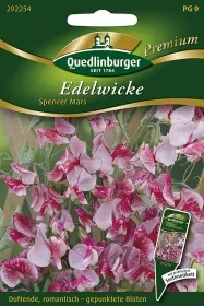 Quedlinburger Edelwicke Spencer Mars - Blumensamen