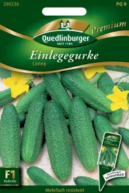 Quedlinburger Einlegegurke Conny - Gemüsesamen