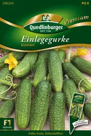 Quedlinburger Einlegegurke Diamant - Gemüsesamen