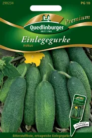 Quedlinburger Einlegegurke Hokus - Gemüsesamen