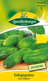 Quedlinburger Einlegegurken Eva - Gemüsesamen