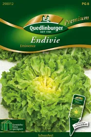 Quedlinburger Endivie Eminence - Gemüsesamen