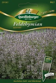 Quedlinburger Feldthymian Quendel - Kräutersamen