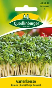 Quedlinburger Gartenkresse Krause - Kräutersamen