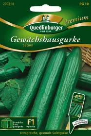Quedlinburger Gewächshausgurke Saturn - Gemüsesamen
