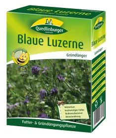 Quedlinburger Gründüngung Blaue Luzerne 500 g - Faltschachtel