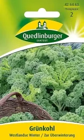 Quedlinburger Grünkohl Westlandse Winter - Gemüsesamen