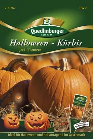 Quedlinburger Halloween-Kürbis Jack Olantern - Gemüsesamen