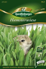 Quedlinburger Hamsterwiese - Blumensamen