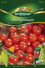 Quedlinburger Honigtomate Miel du Mexique - Gemüsesamen