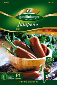 Quedlinburger Jalapeno Japo - Gemüsesamen