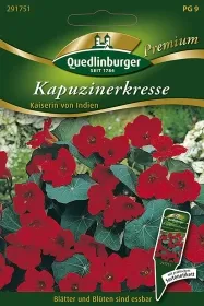 Quedlinburger Kapuzinerkresse Kaiserin von Indien - Blumensamen