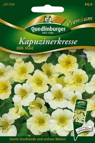 Quedlinburger Kapuzinerkresse Milk Maid - Blumensamen