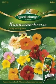 Quedlinburger Kapuzinerkresse Variegated Queen - Blumensamen