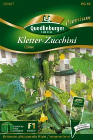 Quedlinburger Kletter-Zucchini Quine - Gemüsesamen