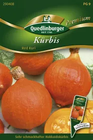 Quedlinburger Kürbis Red Kuri - Gemüsesamen