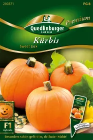 Quedlinburger Kürbis Sweet Jack - Gemüsesamen