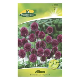 Quedlinburger Kugellauch (Allium sphaerocephalon), 25 Blumenzwiebeln, Größe 5/6 Quedlinburger Kugellauch (Allium sphaerocephalon), 25 Blumenzwiebeln, Größe 5/6