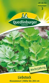 Quedlinburger Liebstock Maggikraut - Kräutersamen