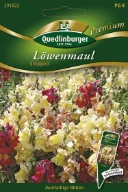 Quedlinburger Löwenmaul Stripped - Blumensamen