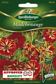 Quedlinburger Mädchenauge Roulette - Blumensamen