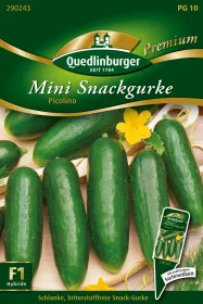 Quedlinburger Mini Snackgurke Picolino - Gemüsesamen