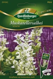 Quedlinburger Muskatellersalbei Scharlei - Kräutersamen
