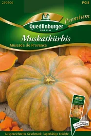 Quedlinburger Muskatkürbis Muscade de Provence - Gemüsesamen
