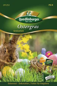 Quedlinburger Ostergras - Blumensamen