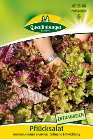 Quedlinburger Pflücksalat Amerikanischer brauner Großpackung 30 Gramm - Gemüsesamen