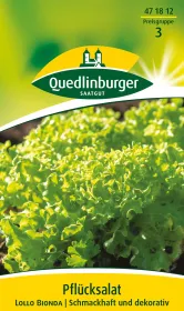Quedlinburger Pflücksalat Lollo bionda - Gemüsesamen