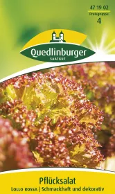 Quedlinburger Pflücksalat Lollo rossa - Gemüsesamen